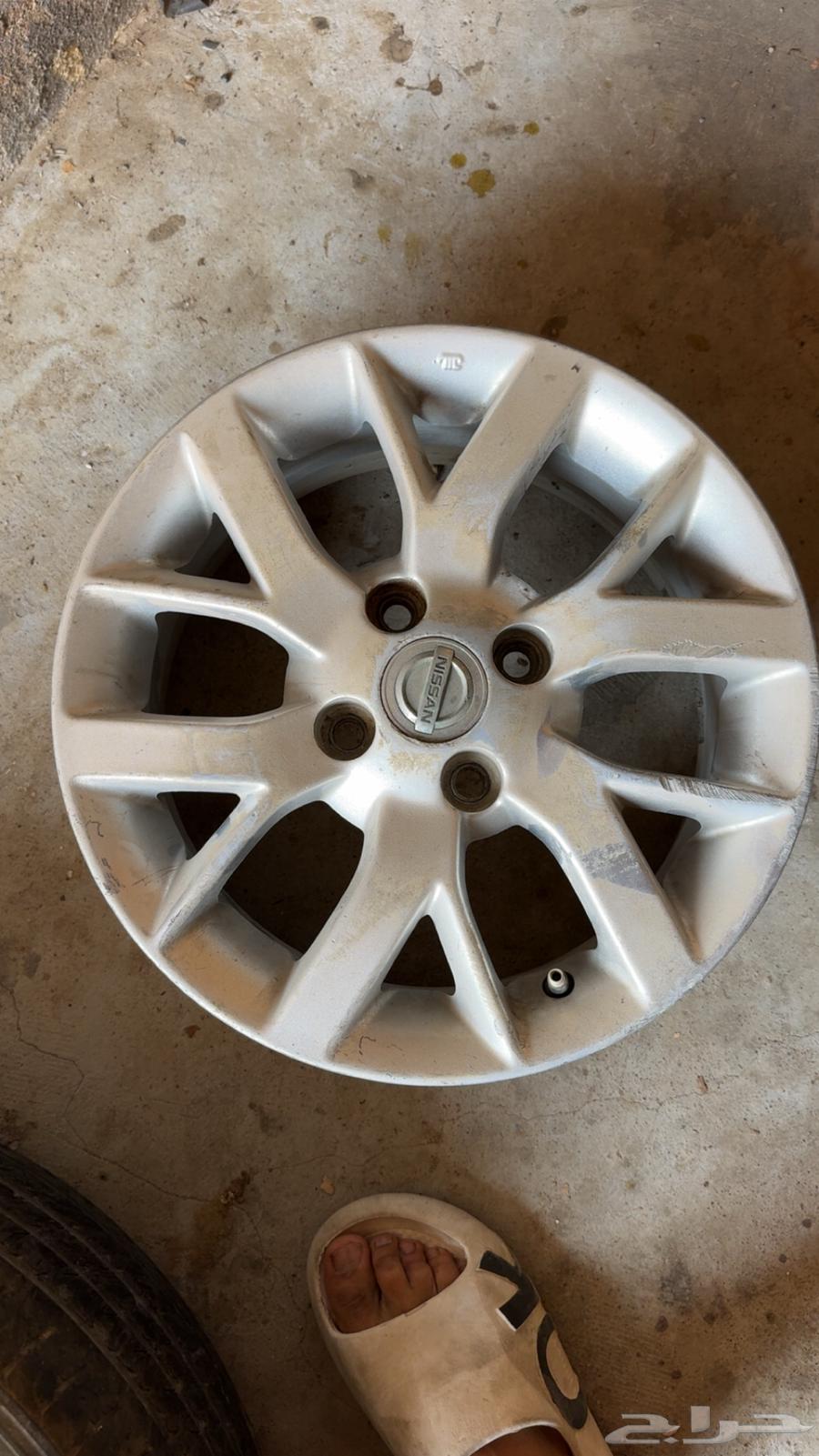 جنوط صني فل كامل64609361368835110