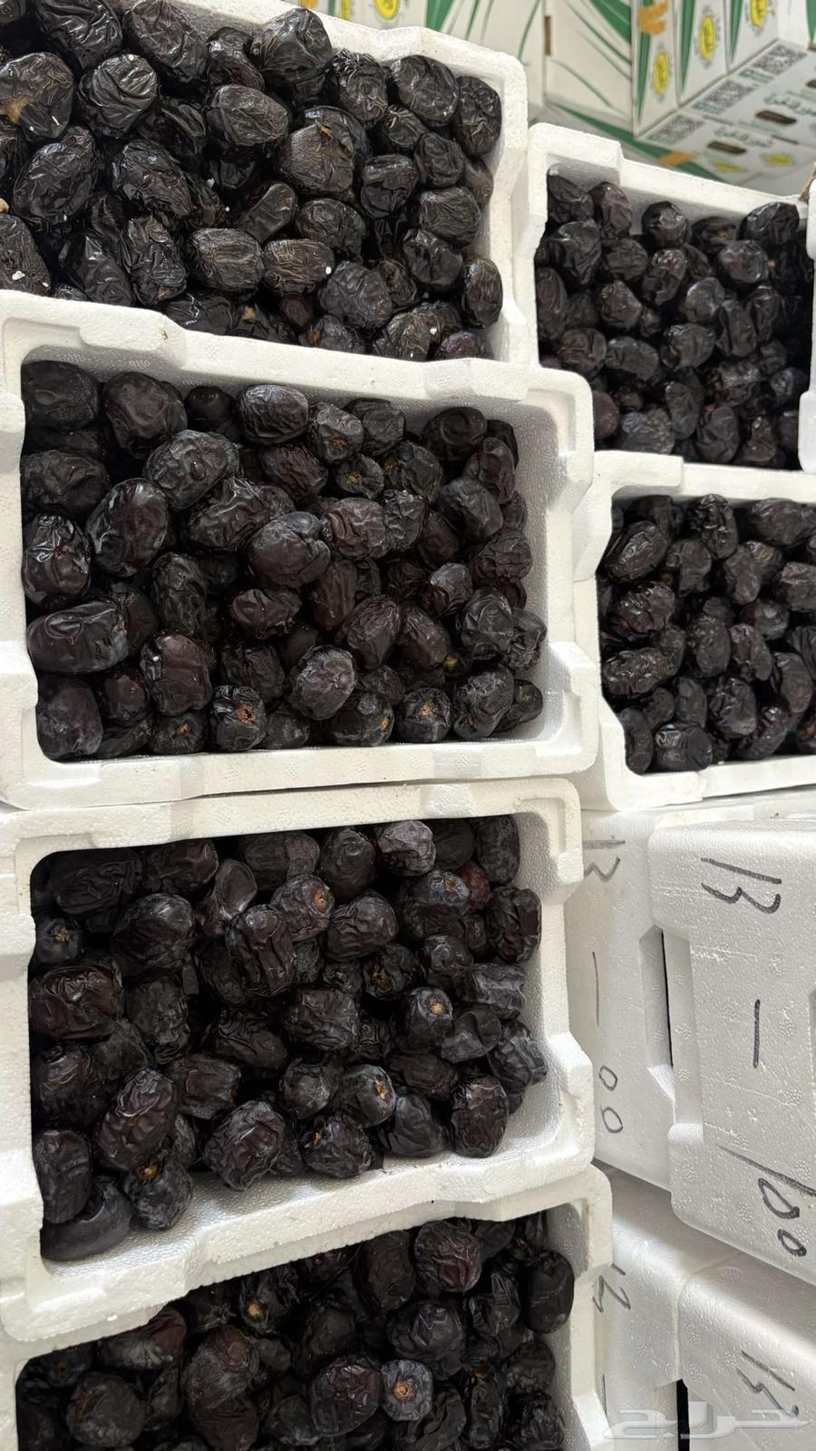 Ajwa Dates64446510097793112