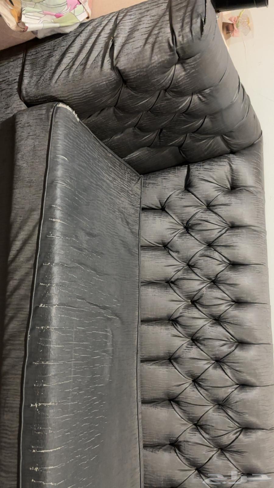 العدامة الجديدة خلف اللولو مول64446417050243114