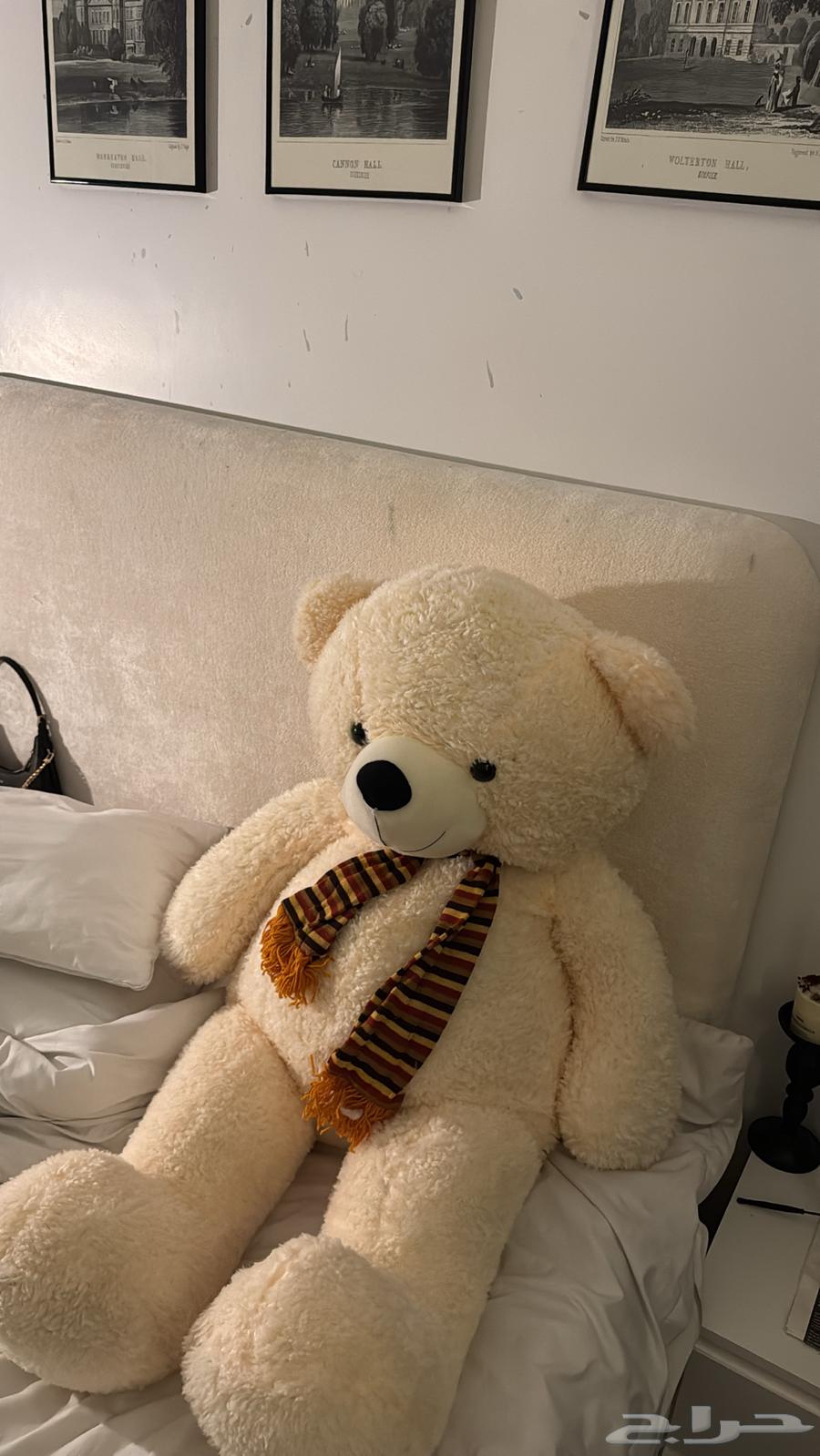 دبدوب حجم كبير64446162375810111