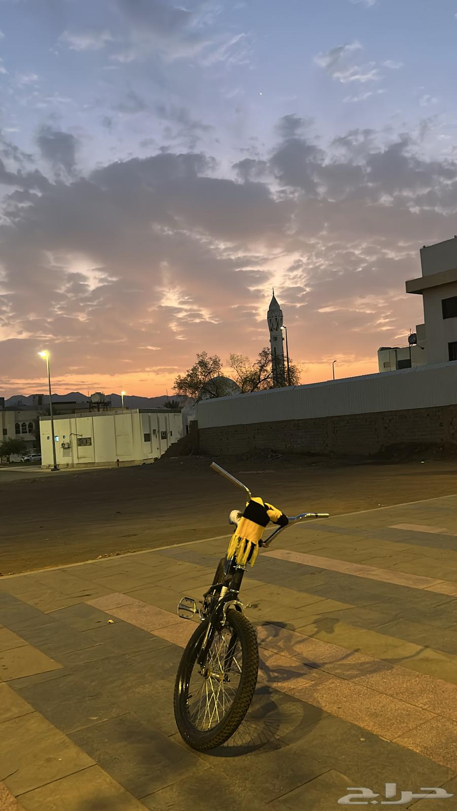 Clean Cobra Bicycle Size 2064446108109955111