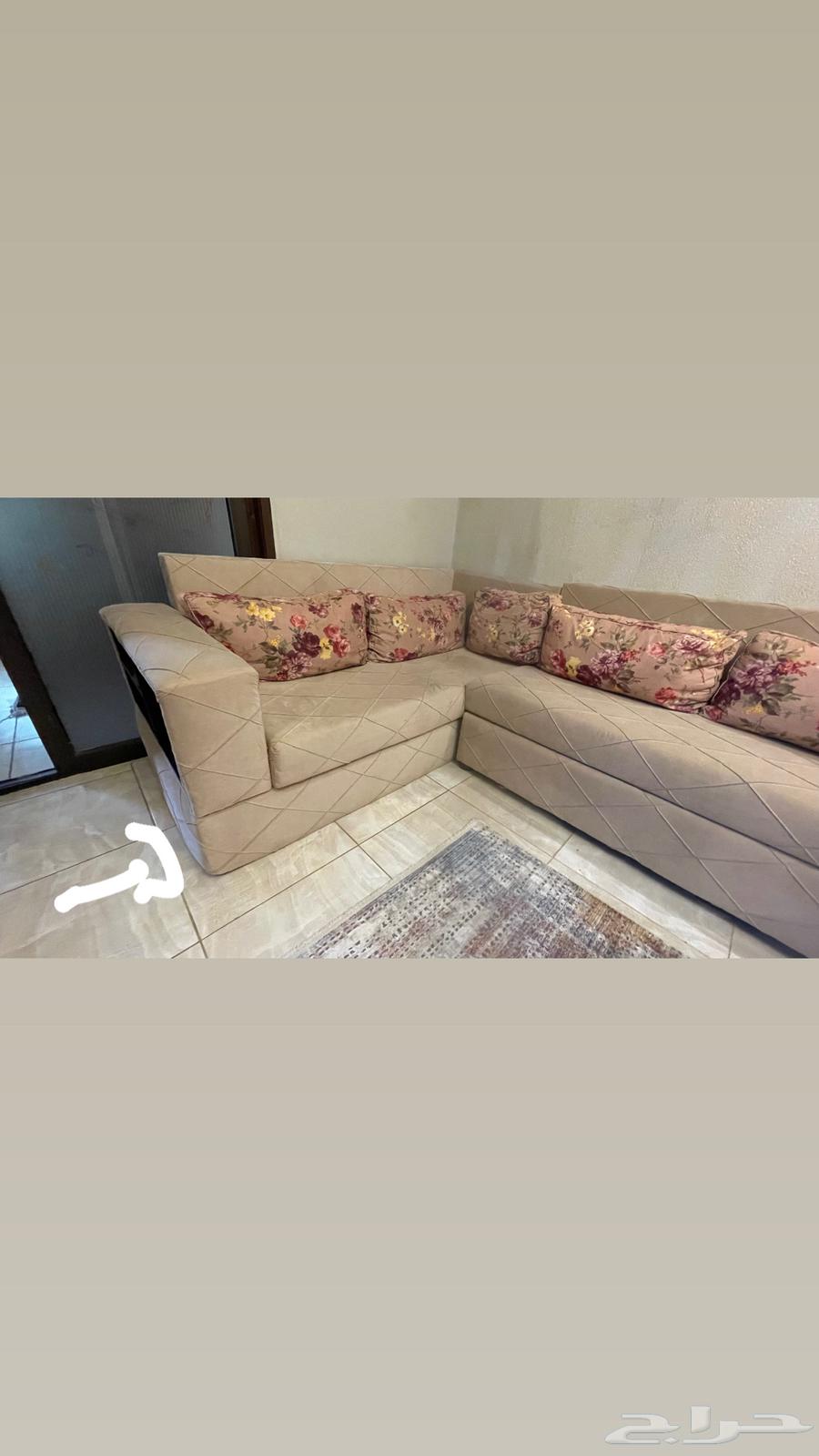 Complete guest sofa set64446896243201111