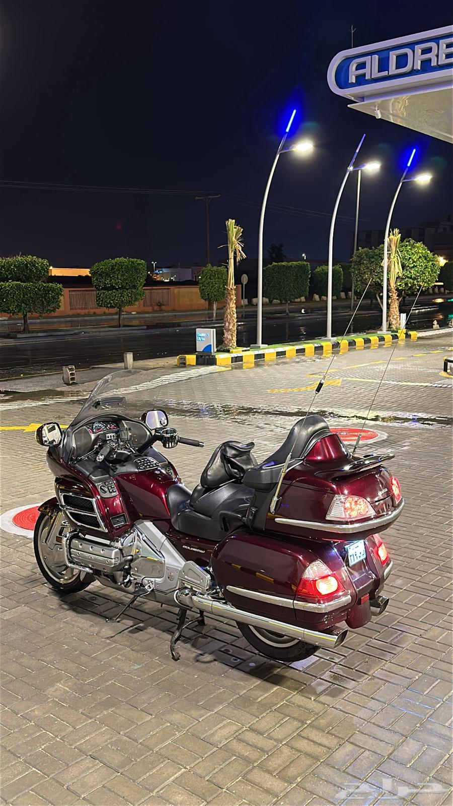 قولد وينق64442789299459113