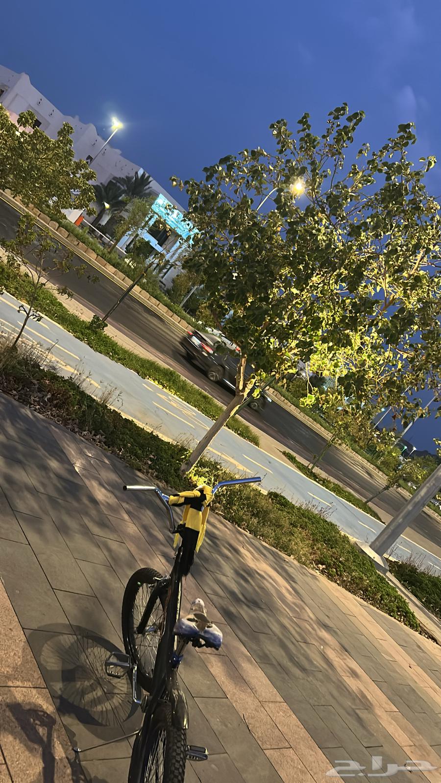 Clean Cobra Bicycle Size 2064446108109955110