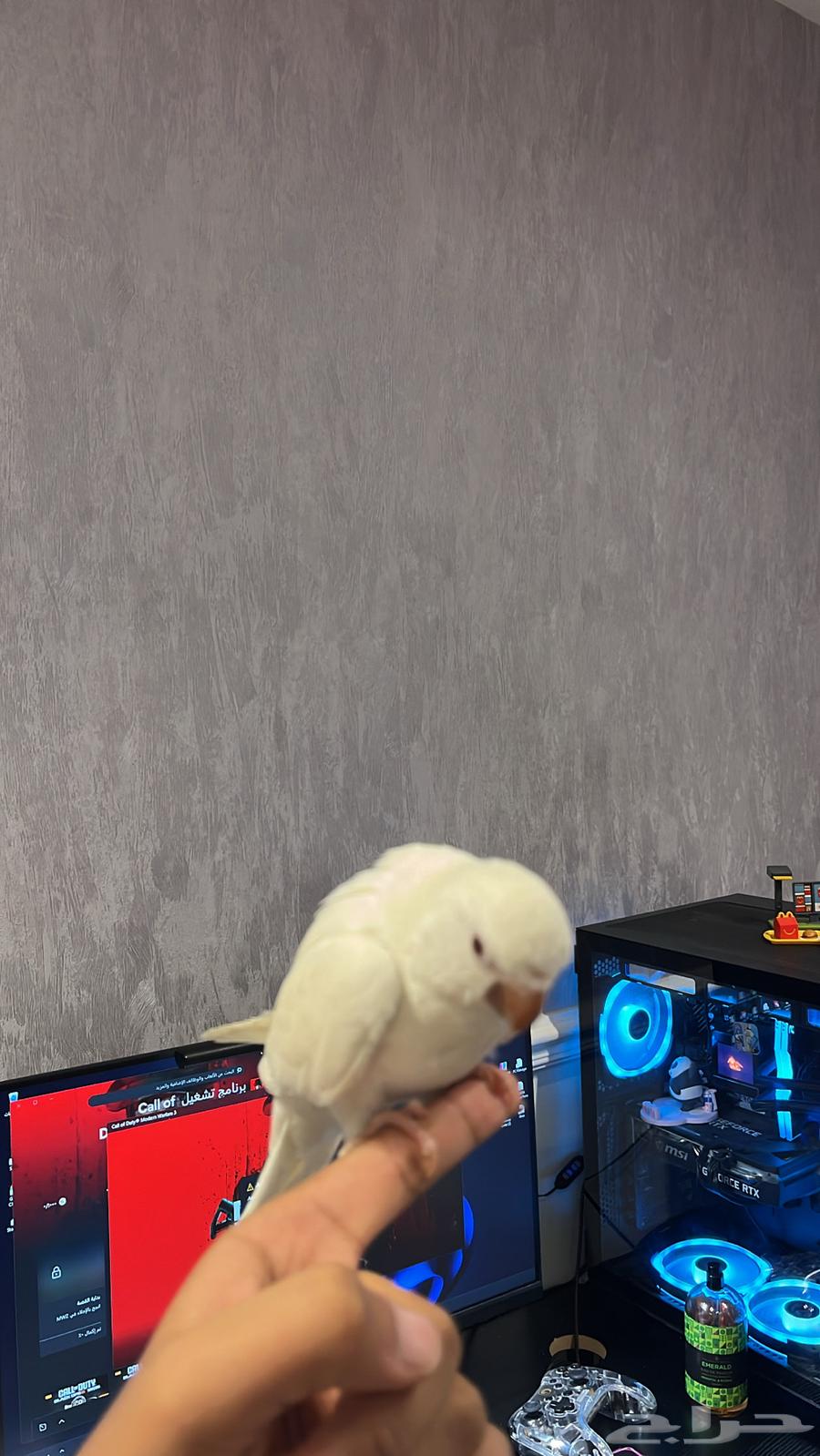 كويكر و دره متكلمين و البيع مستعجل64446662470659111