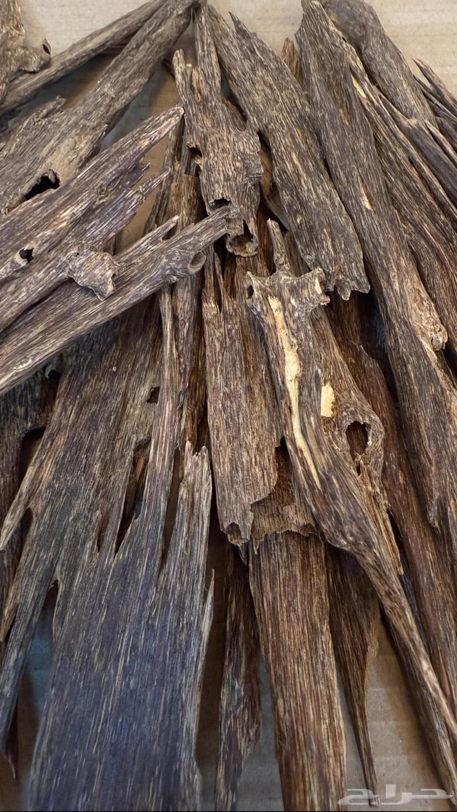 عود هندي طبيعي زورا فاخر نجلاندي موري فاخر64441444954755111