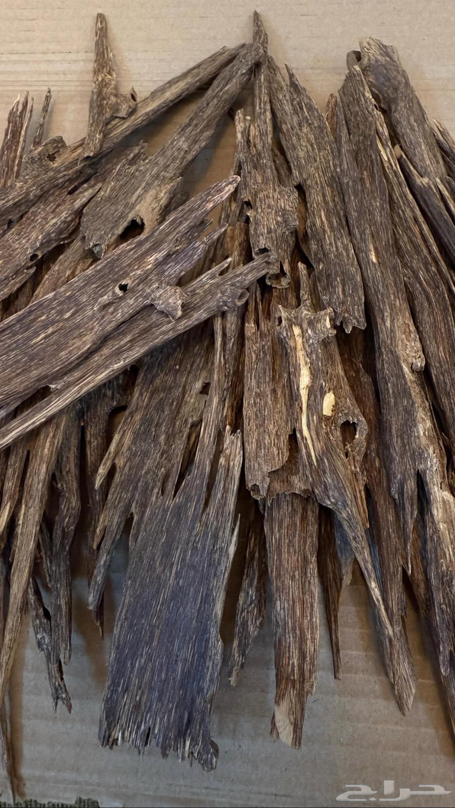 عود هندي طبيعي زورا فاخر نجلاندي موري فاخر64441444954755110