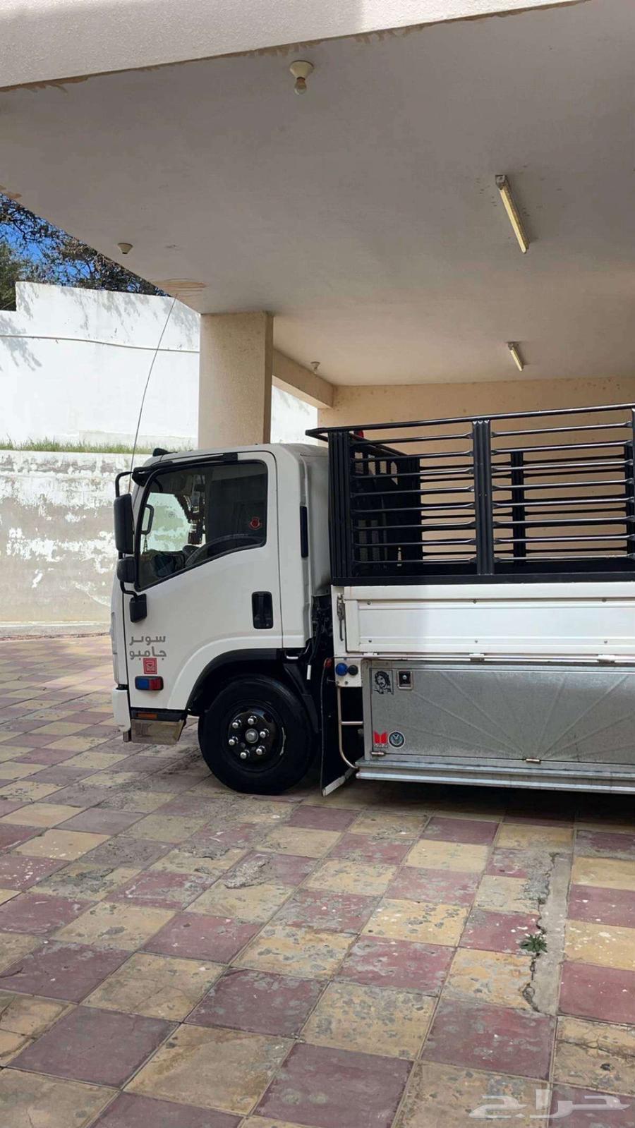 دينا نقل64207061993602110