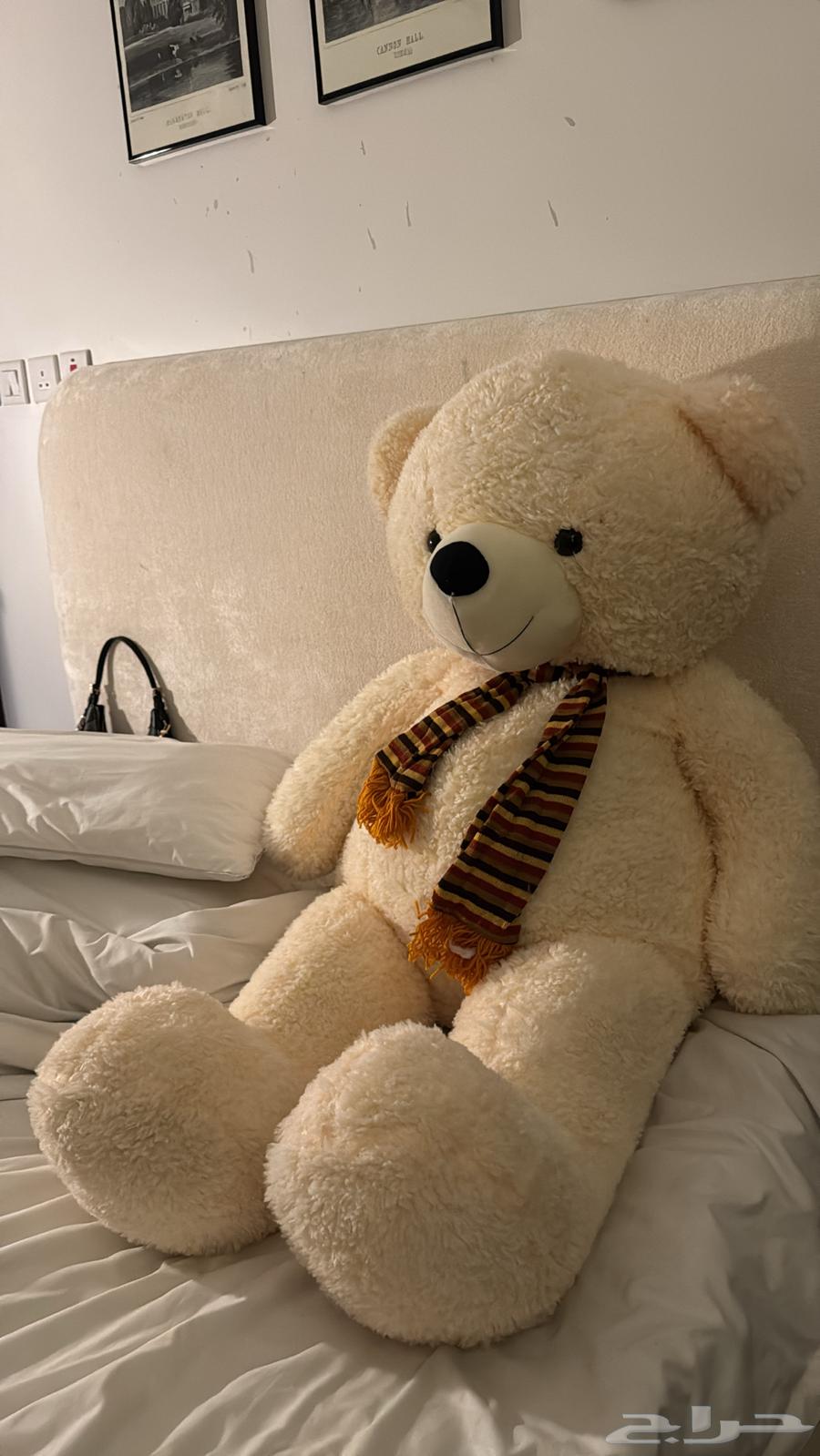 دبدوب حجم كبير64446162375810110