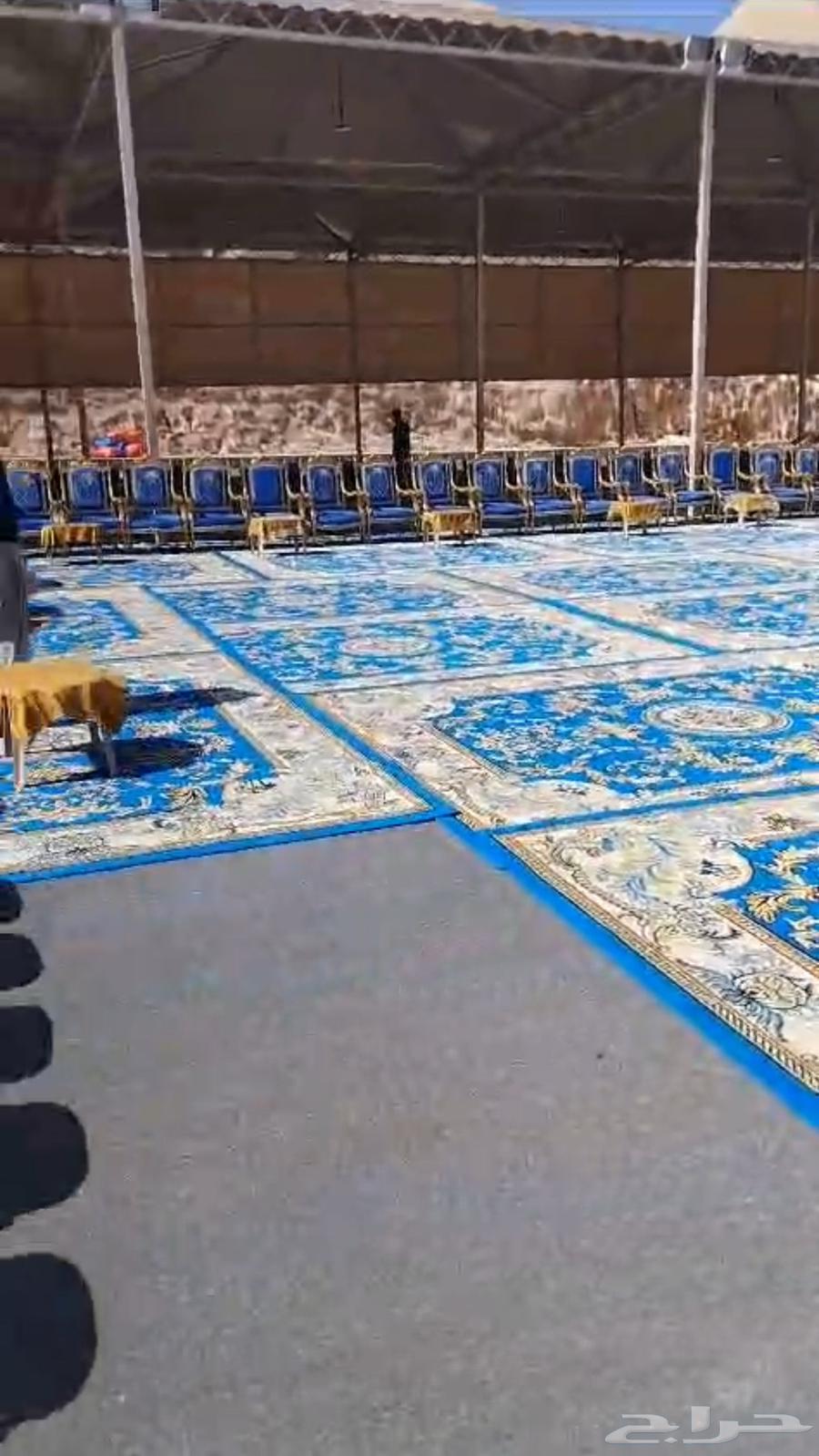 فرش وزل وكراسي ملكية جديده للإيجار64443249882883113