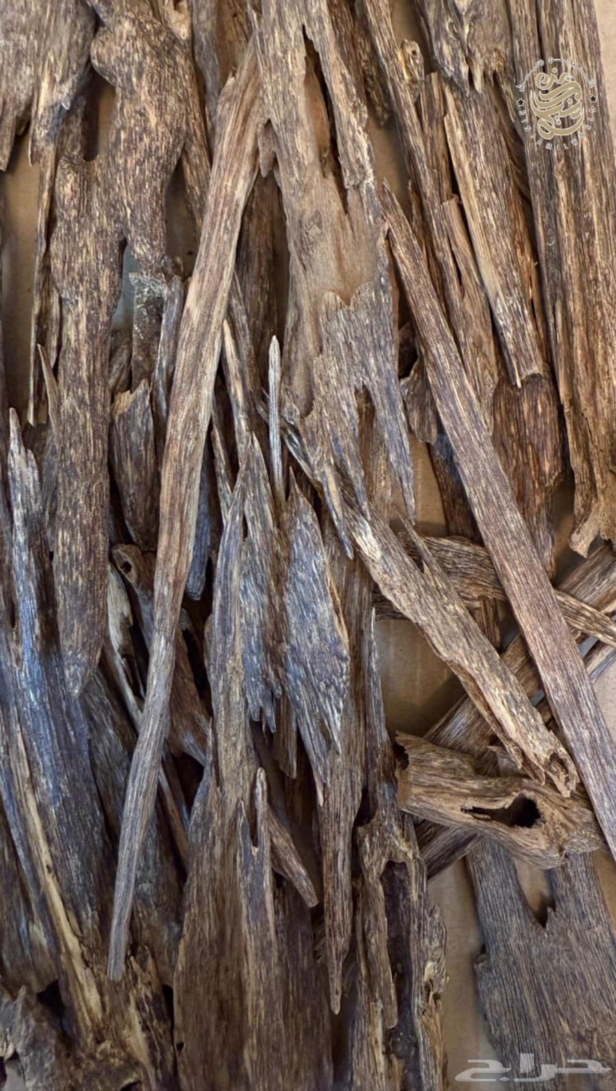 عود هندي طبيعي زورا فاخر نجلاندي موري فاخر64441444954755114