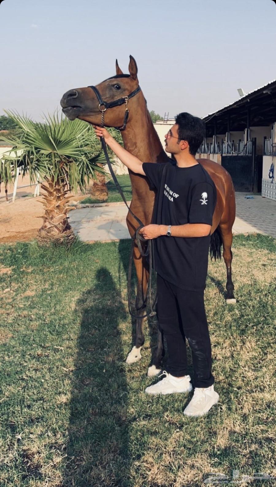 تشيرتات اليوم الوطني أشكال مميزة جدا توصيل مجاني64447309683074112