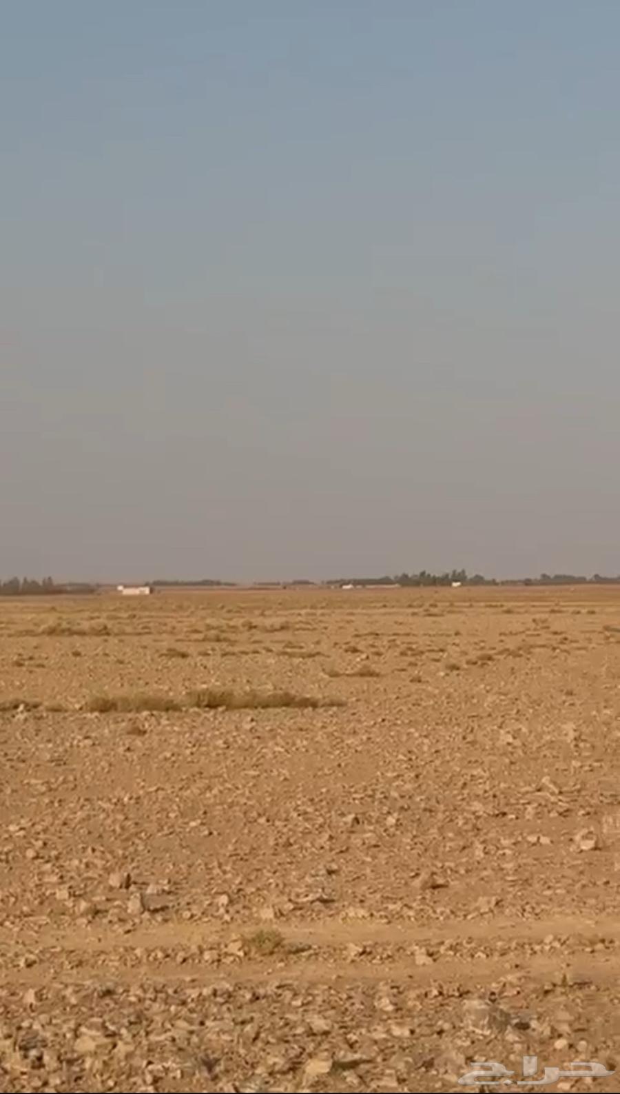 Agricultural land for sale - Ha'il Al-Khwayr64142382167042114