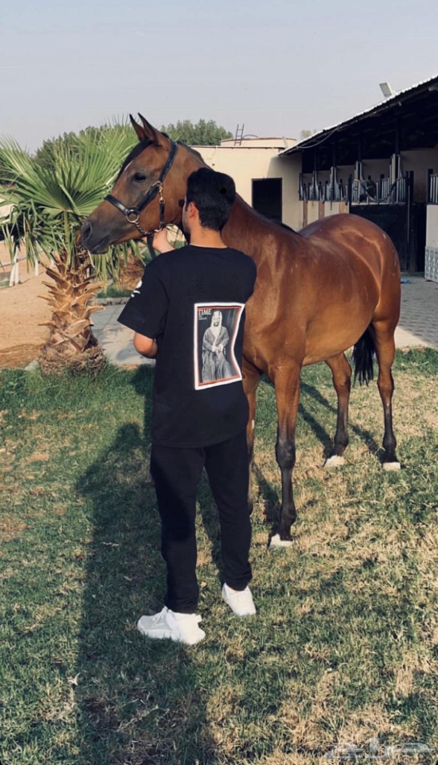 تشيرتات اليوم الوطني أشكال مميزة جدا توصيل مجاني64447309683074110