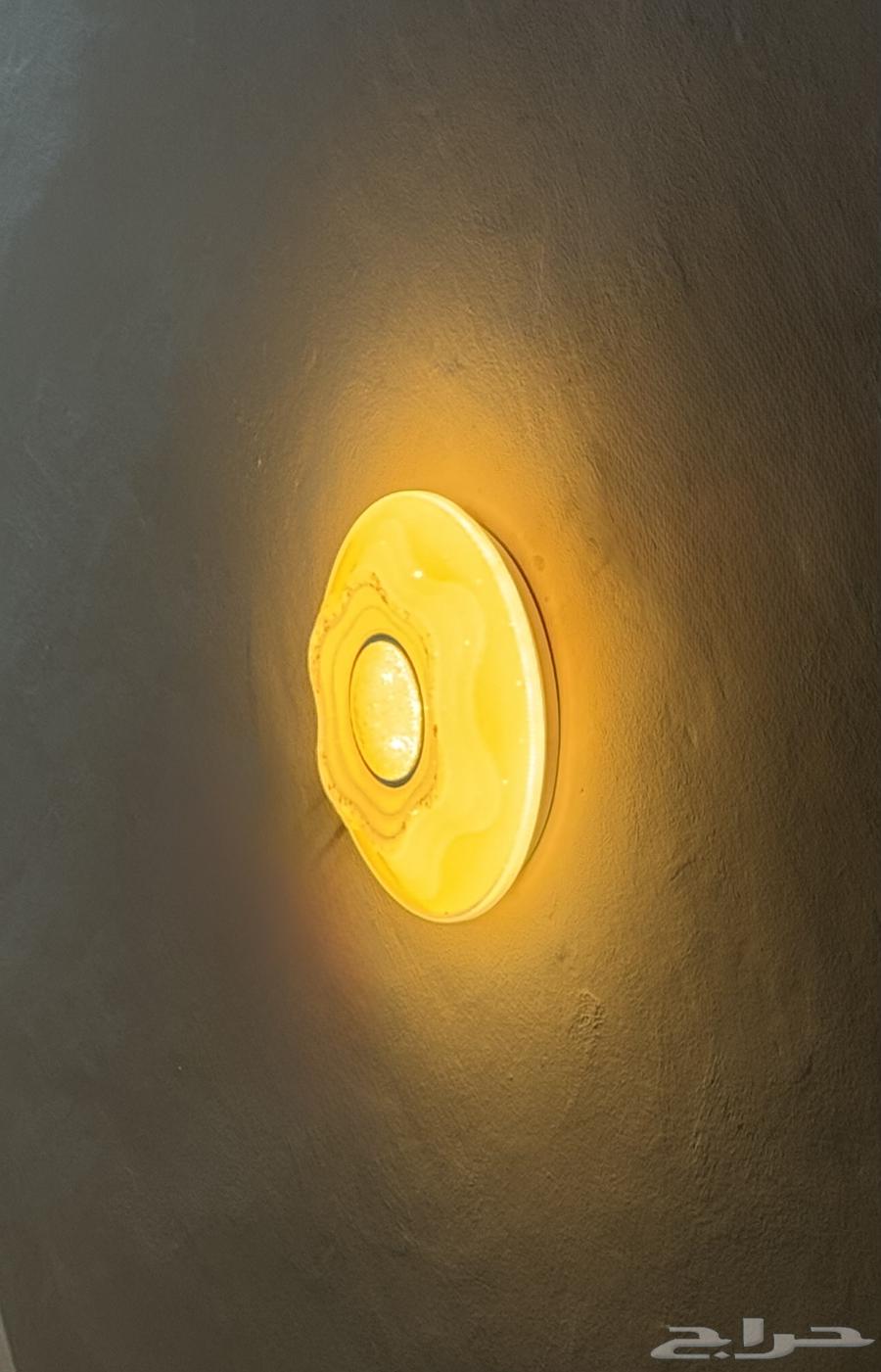 Light bulbs64444070082049111