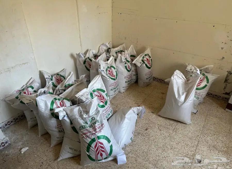 Clover Seeds64442706327299110