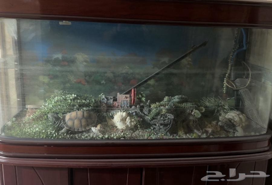 حوض أسماك كبير للبيع64444660632067111
