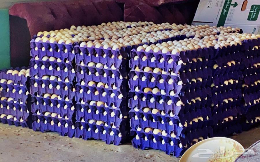 Local eggs, bright colors, fertilized64446677126017111