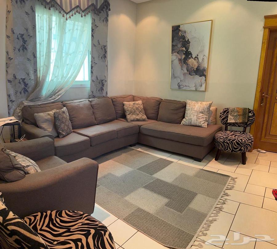 Sofa64444593629698114