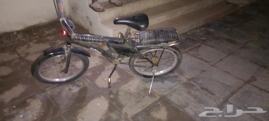 سيكل رامبو مقاس 20 جديد كرت . الموقع صبيا64448553910275112