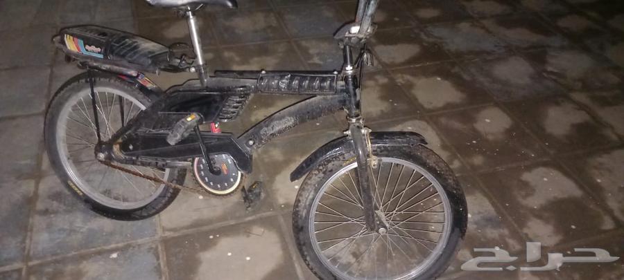 سيكل رامبو مقاس 20 جديد كرت . الموقع صبيا64448553910275113