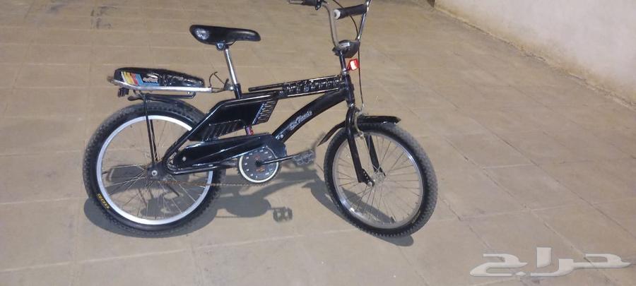 سيكل رامبو مقاس 20 جديد كرت . الموقع صبيا64448553910275111