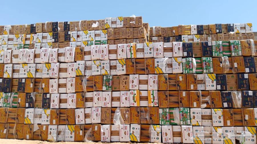 كرتون موز حجم 20 كيلو64447029256193110