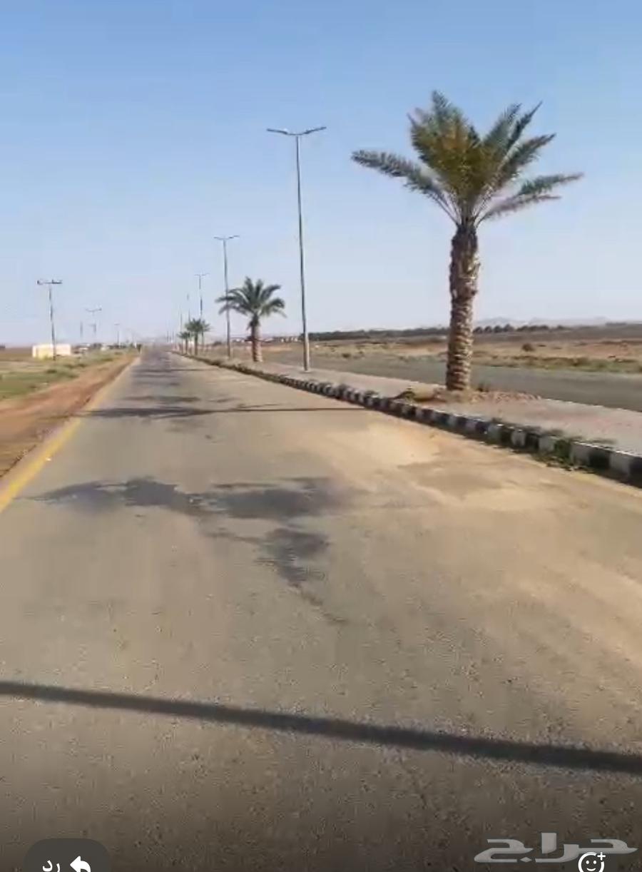 Agricultural land in Ha'il Al Rawdah, area 116000 for 450 thousand64142379661570110