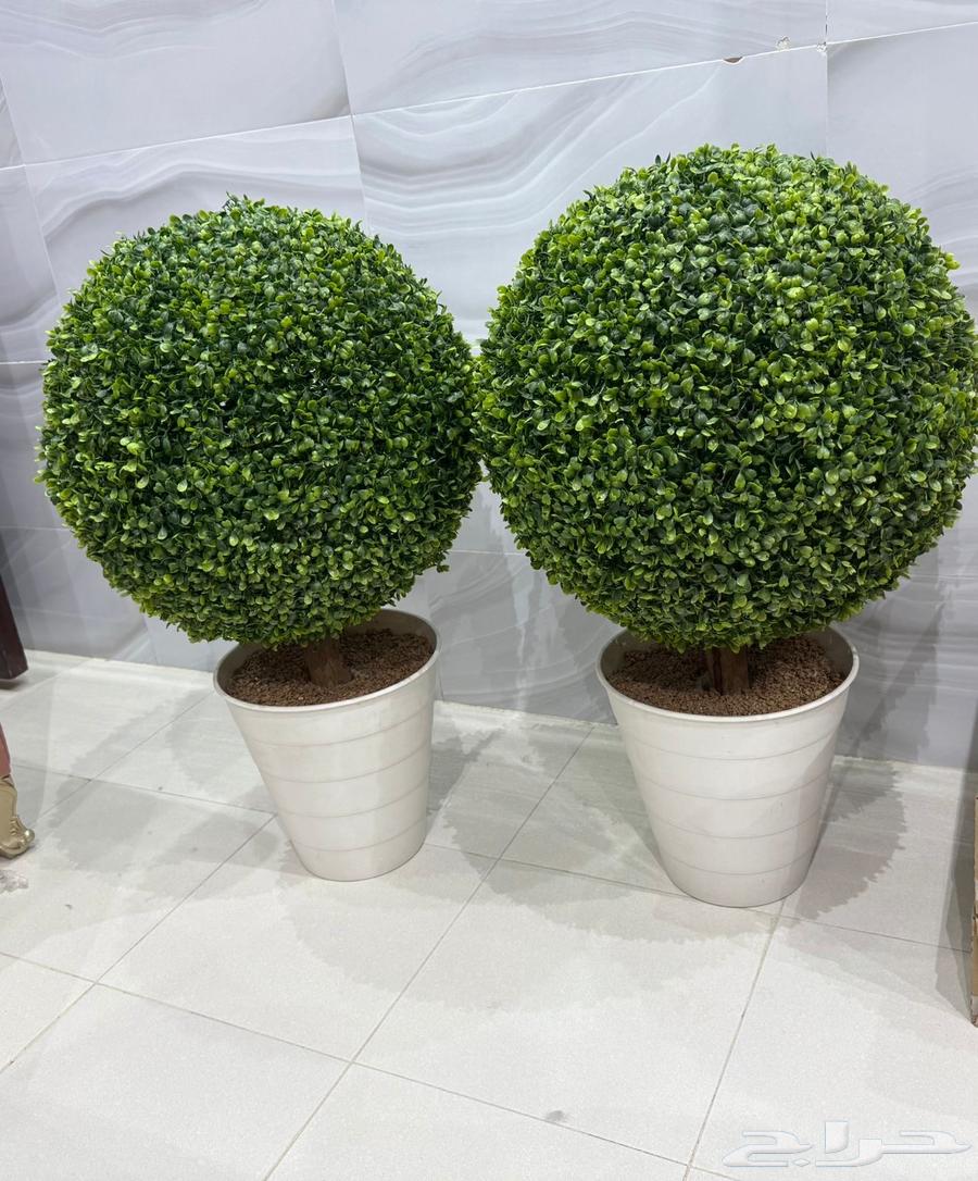 Decorative Tree64445052062722110