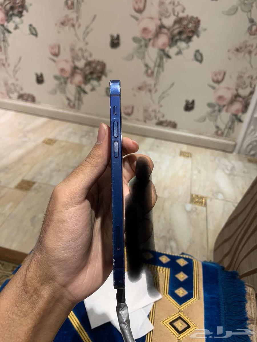 iPhone 1264446202995714113