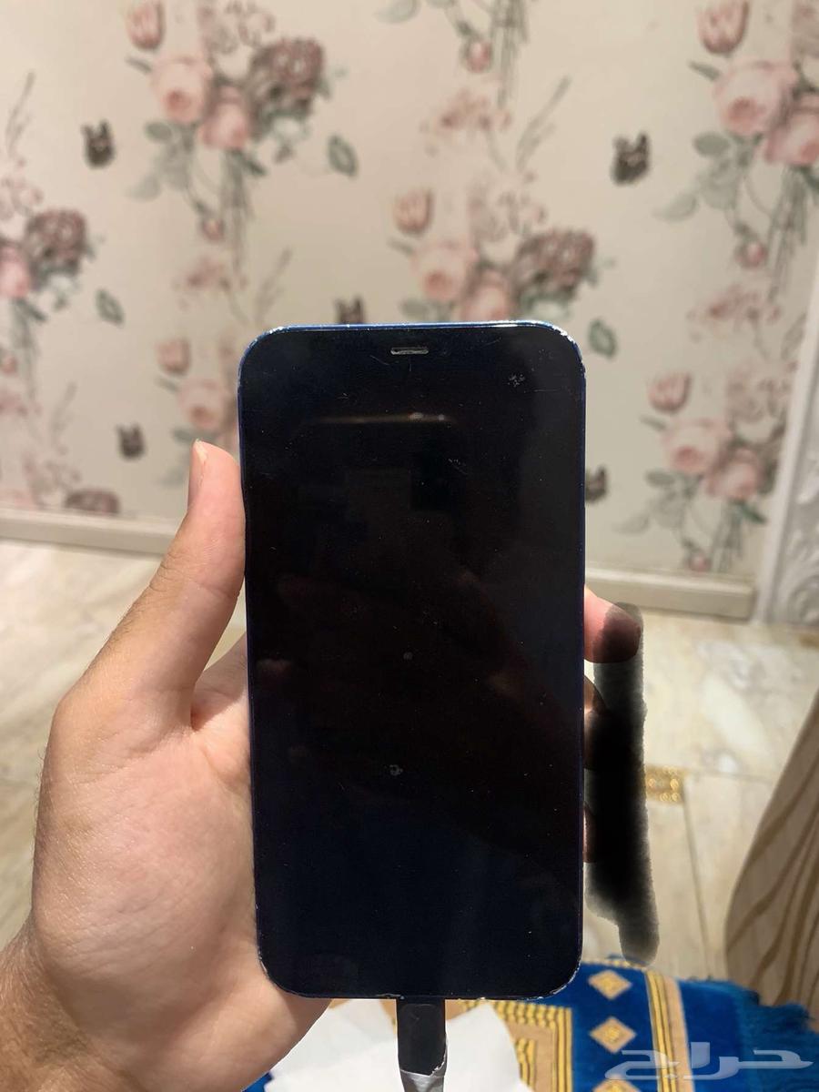 iPhone 1264446202995714112