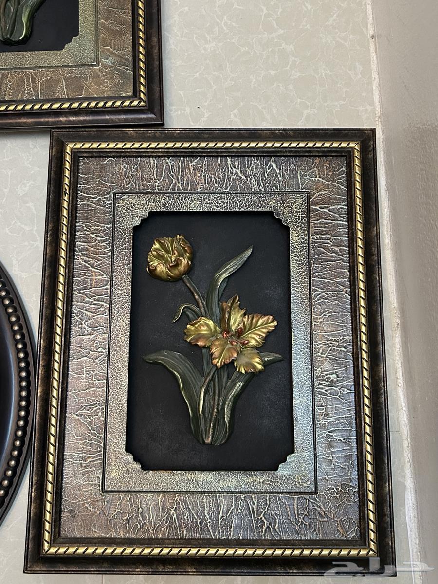 لوحات للبيع على السوم64443061050371114