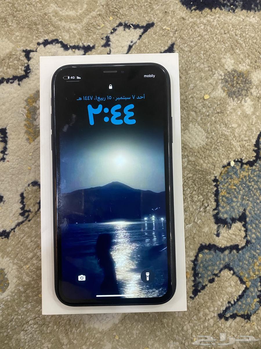 iPhone XR64445716960515113