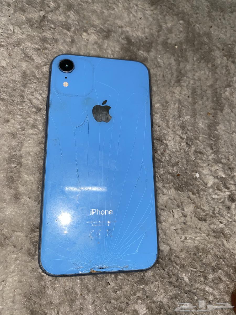 iPhone XR64442803198977111
