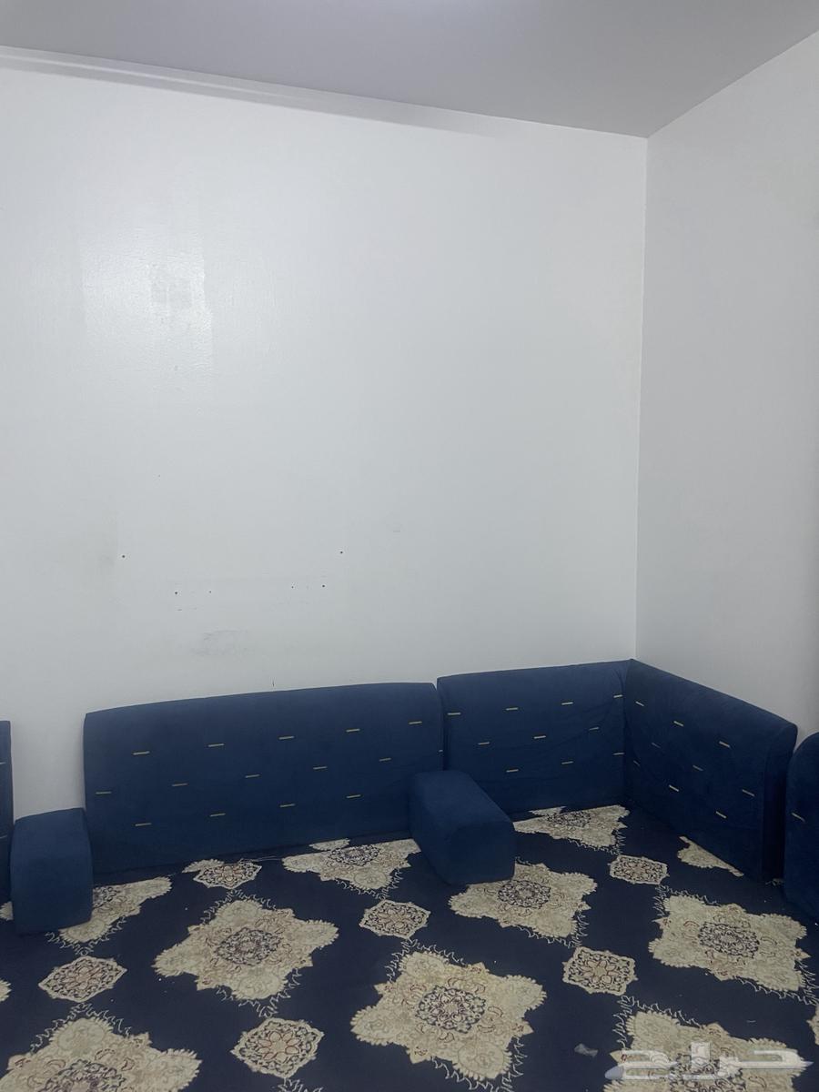 Carpet64445933026306111