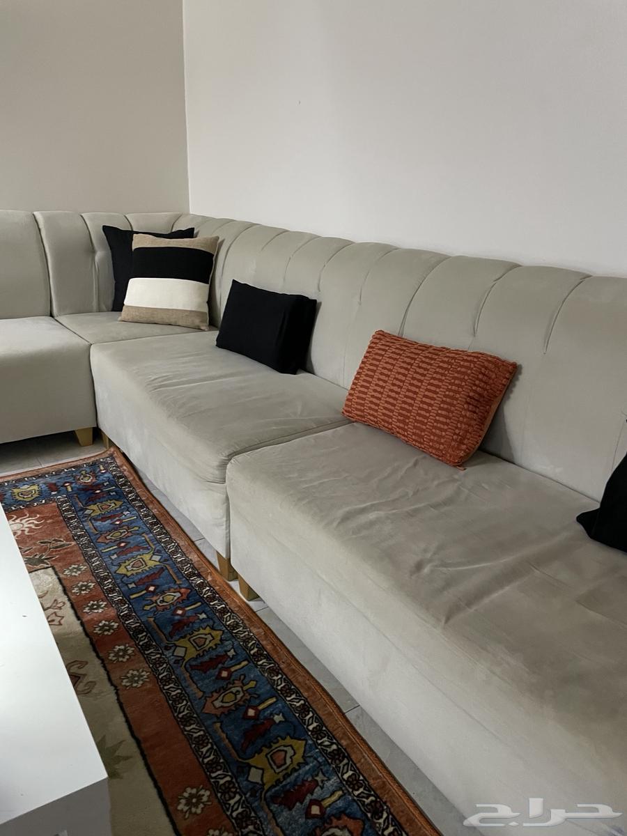 كنب حرف L64447203362818110