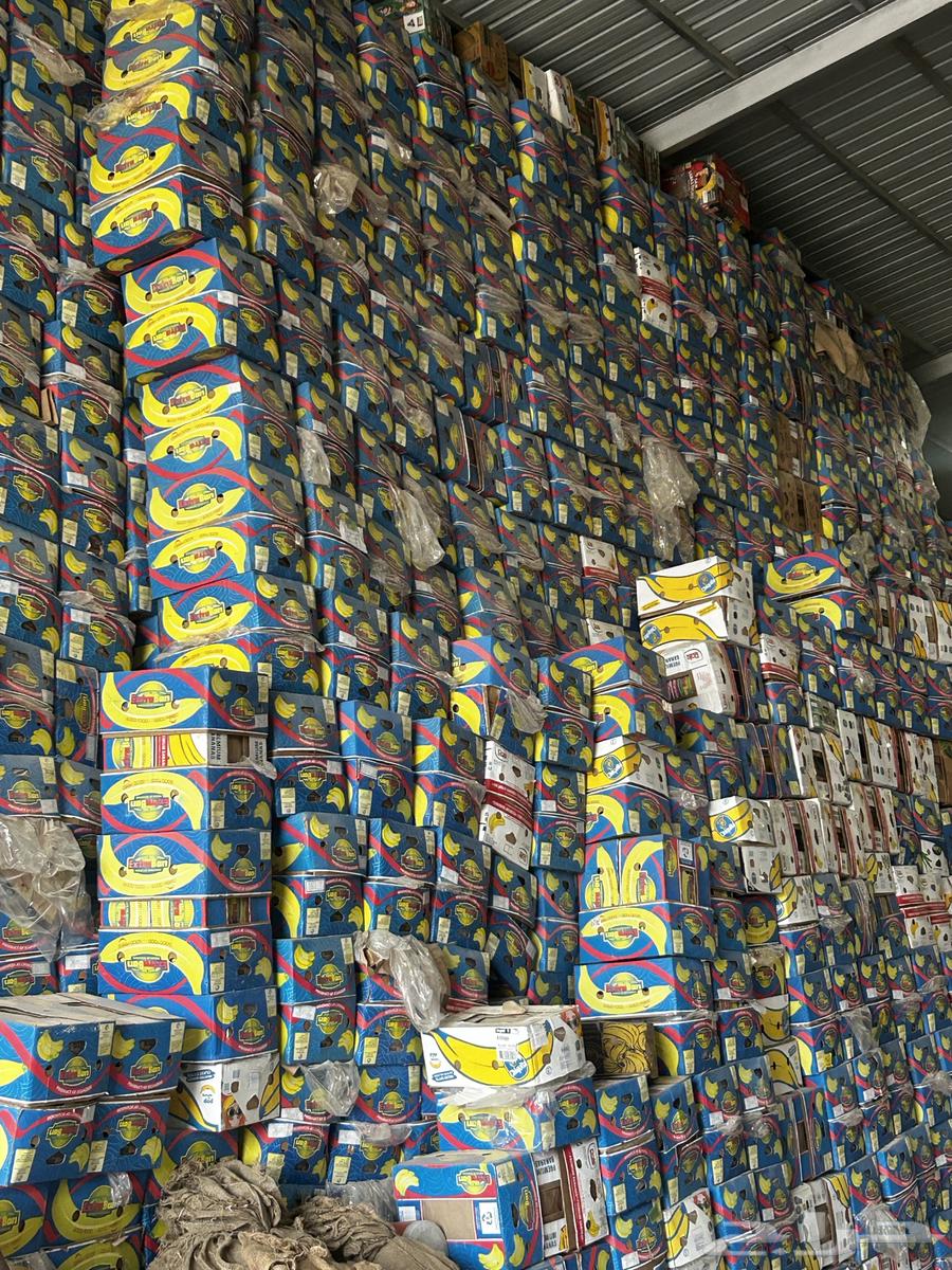 كرتون موز فارغ السعر ريالين ونص64445160546563110