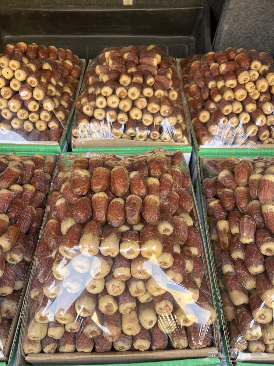 Luxurious high-quality dates from the last harvest64445255816195110