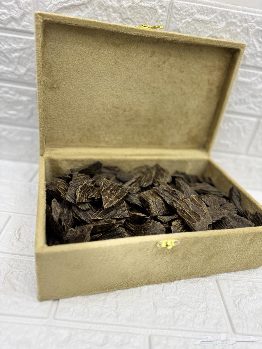 عرص على نص كيلو كلمنتان (عود ازرق)64445851913347110