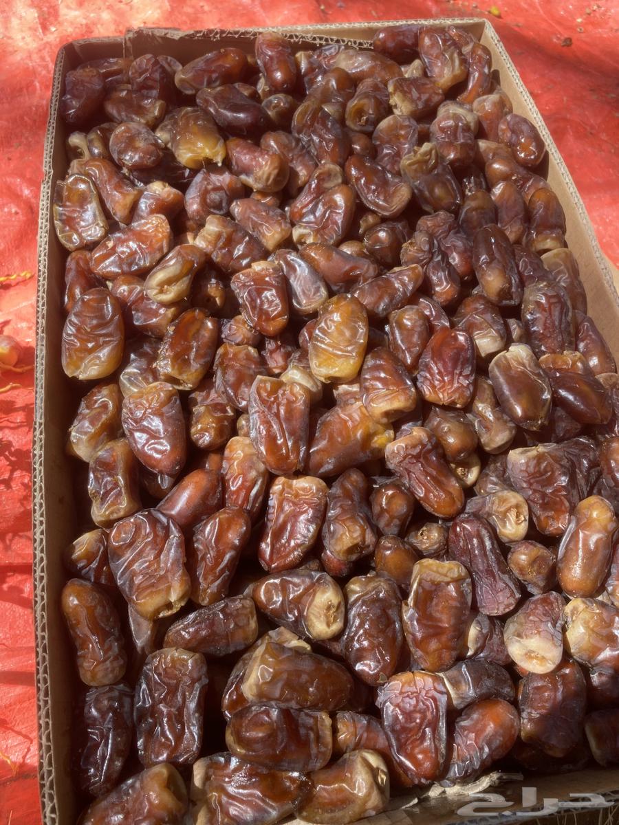 برني العيص فاخر64443789554051111