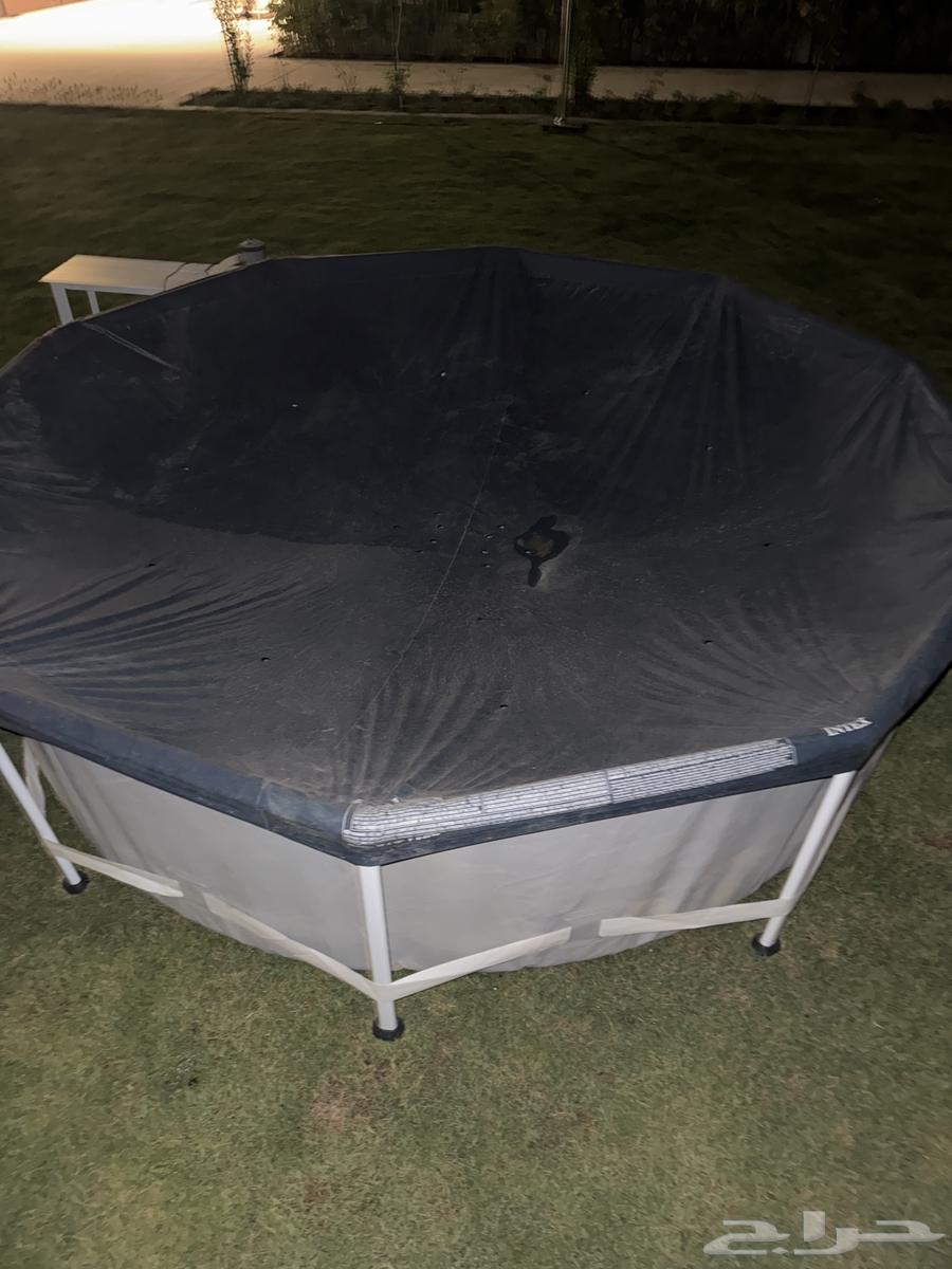 Large swimming pool64447798560259114