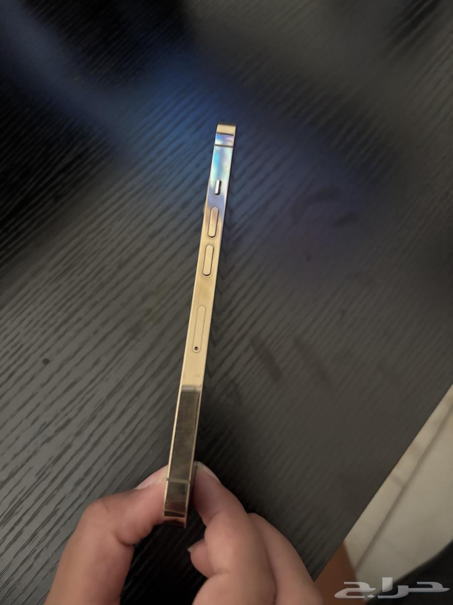 ايفون 13 برو للبيع64446390946563113