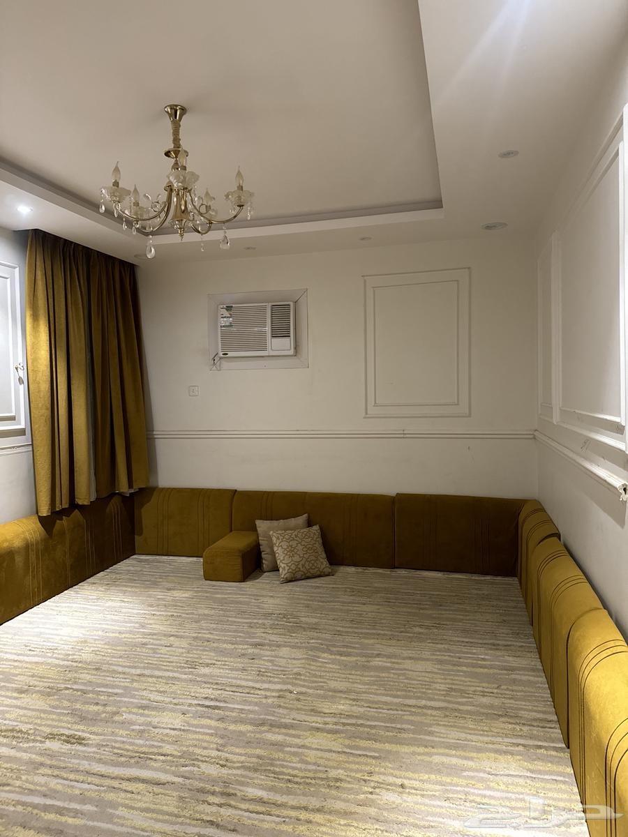 شبه جديد64448341490818110