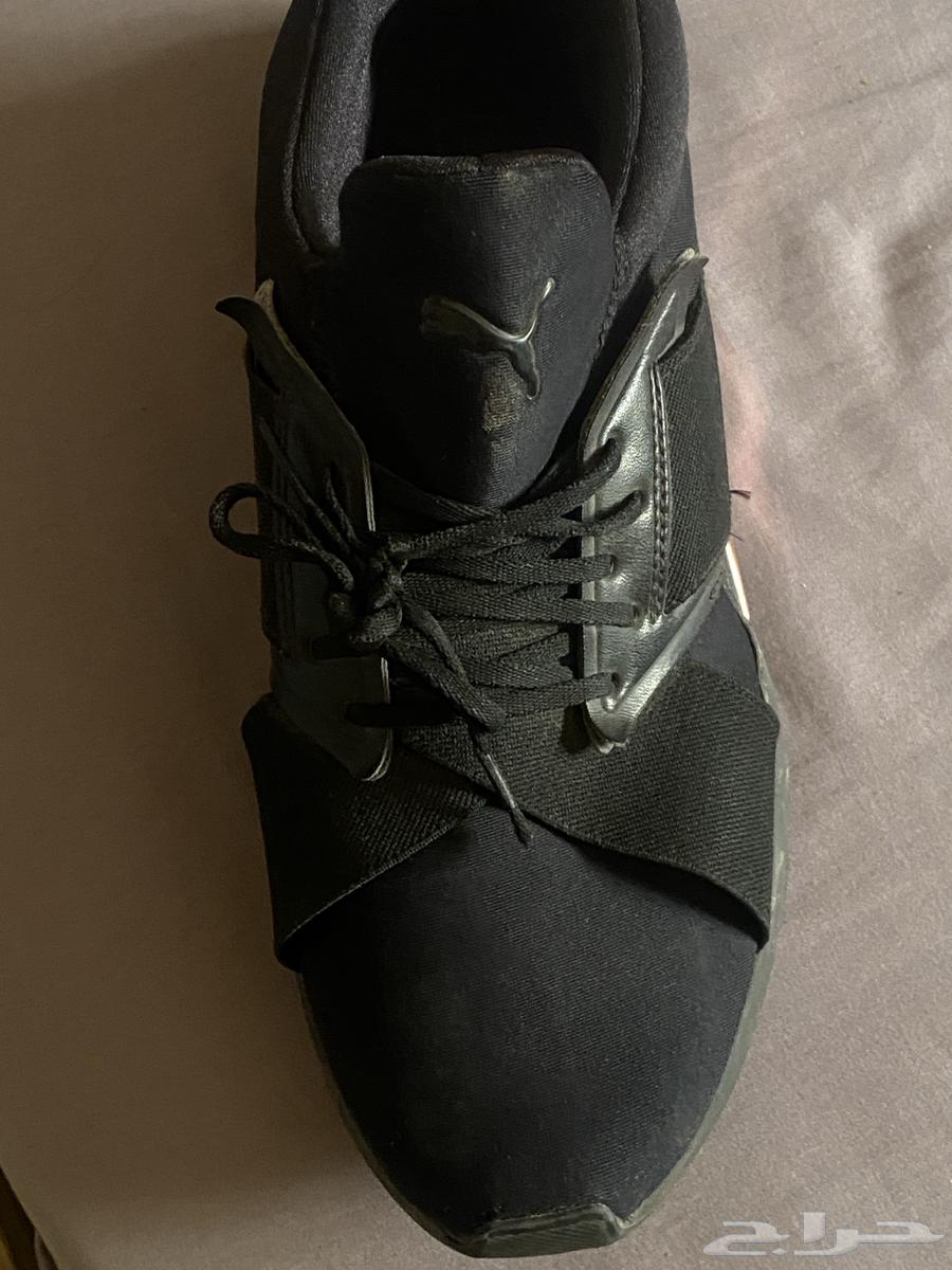 جزمة  حذاء  شوز بوما و ألدو64443816511362113