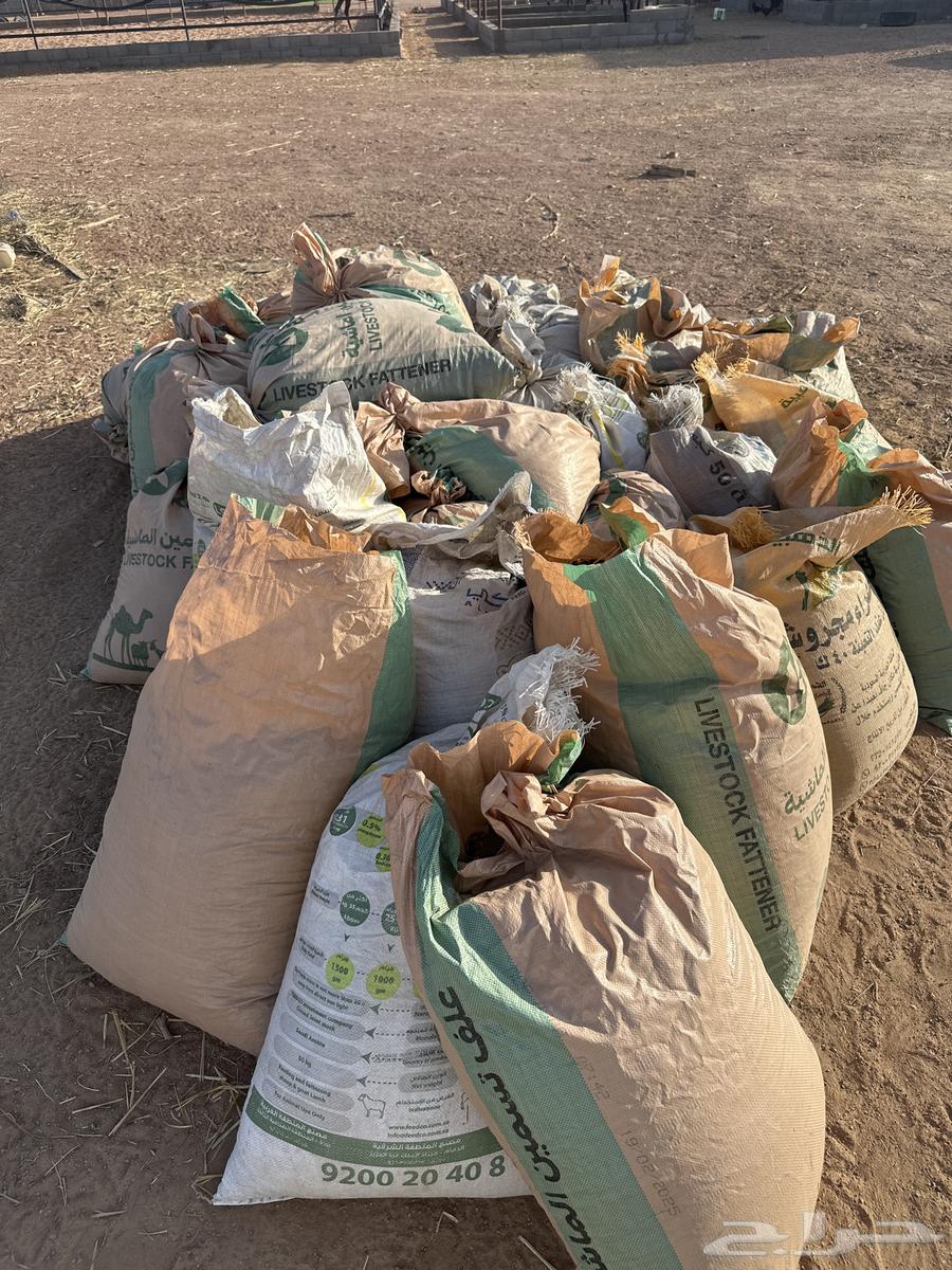 سماد بلدي غنم وخيل مجاني64446576666498110