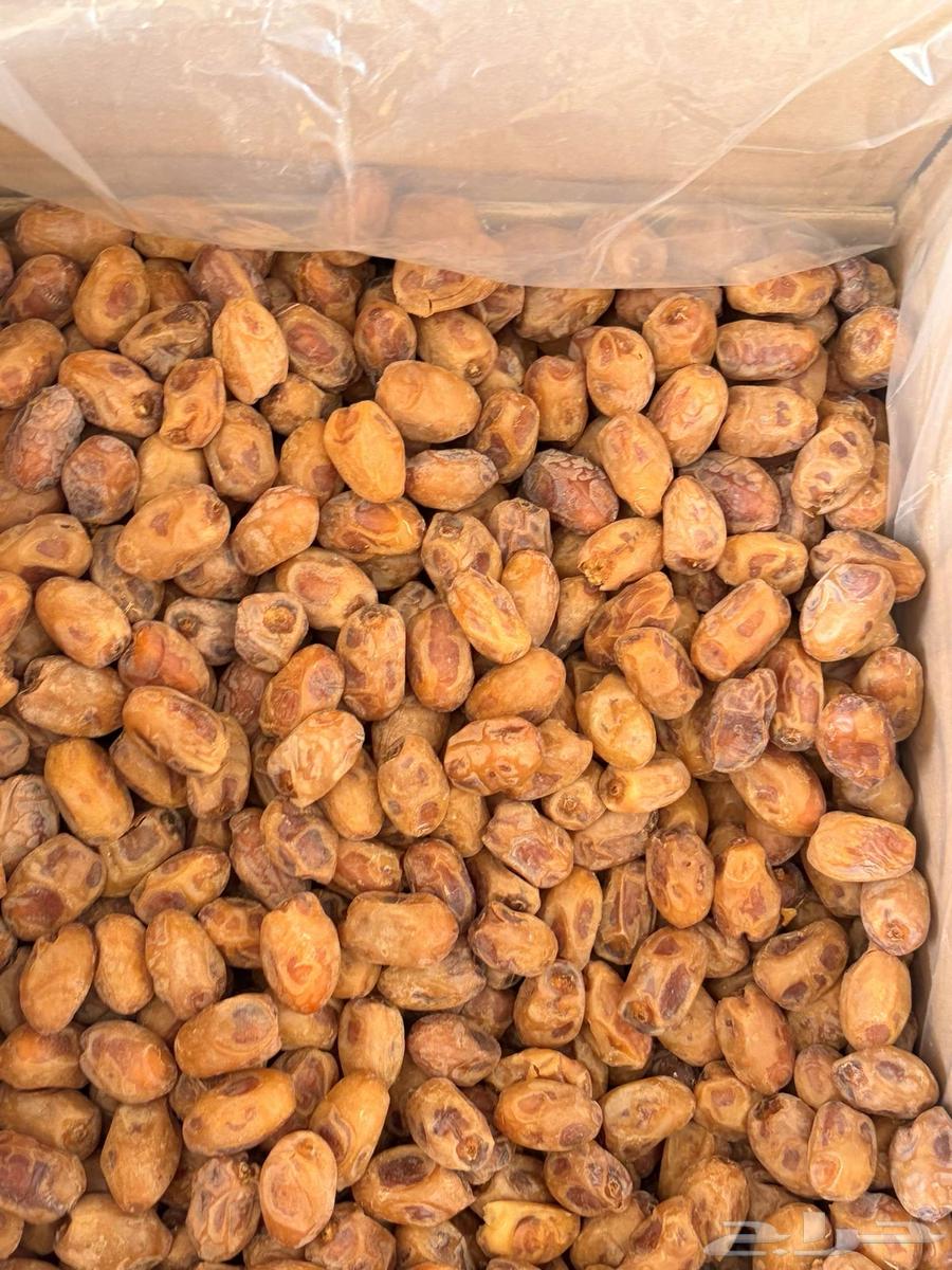 Tamr Khalas64446603136770110