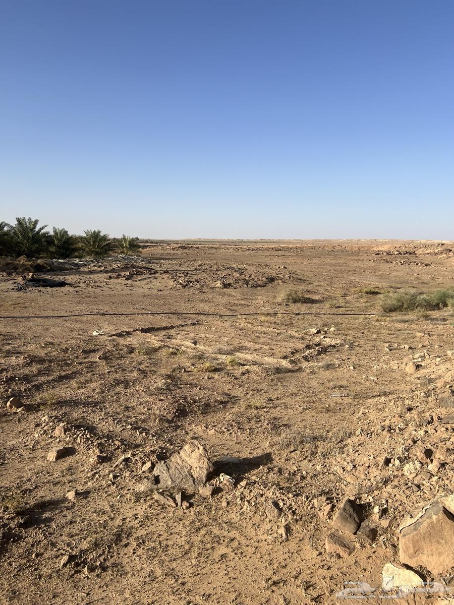 For sale, a 10,000 square meter rest house64142378885123110