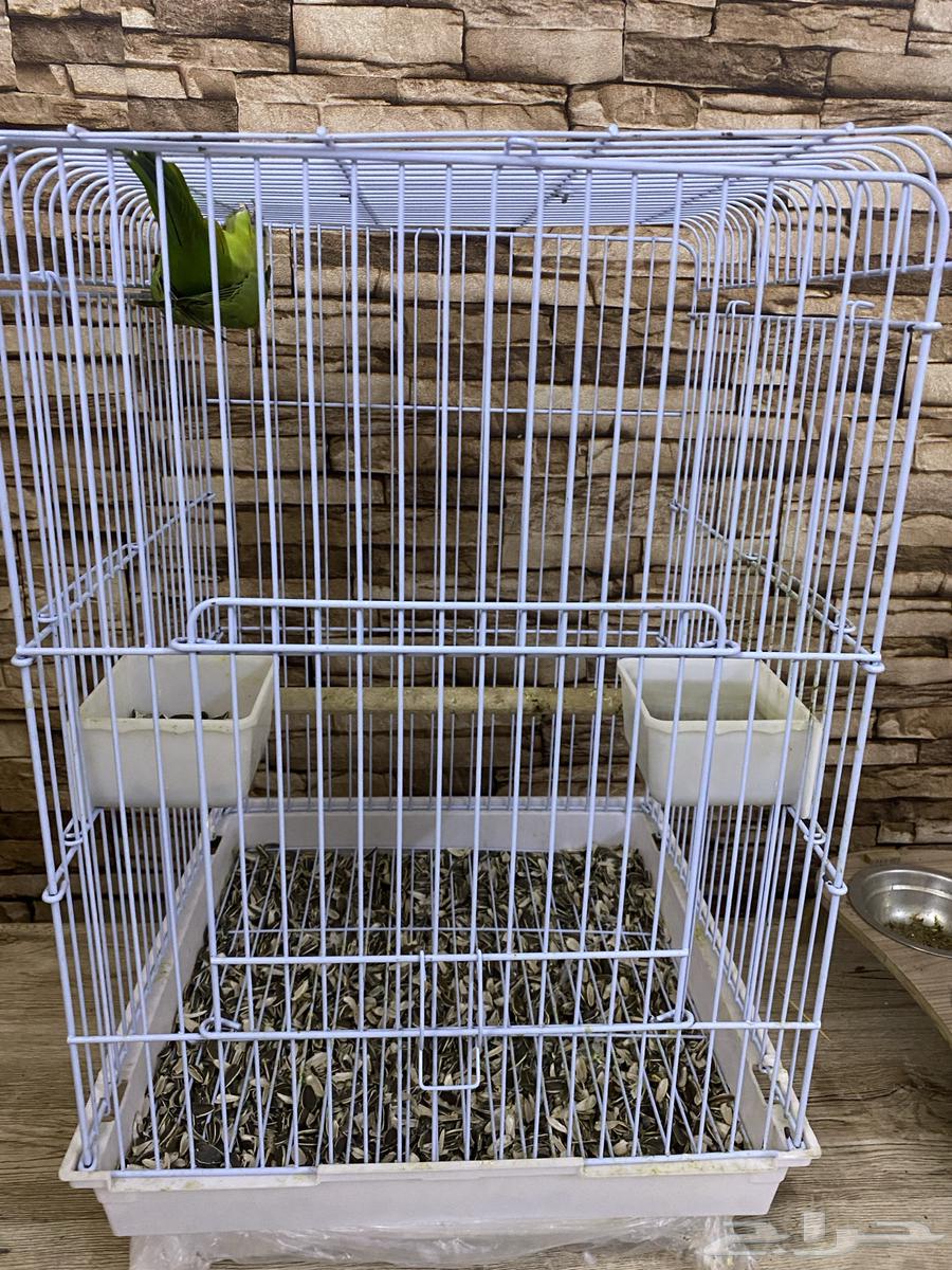 دره أليف64442475133443114