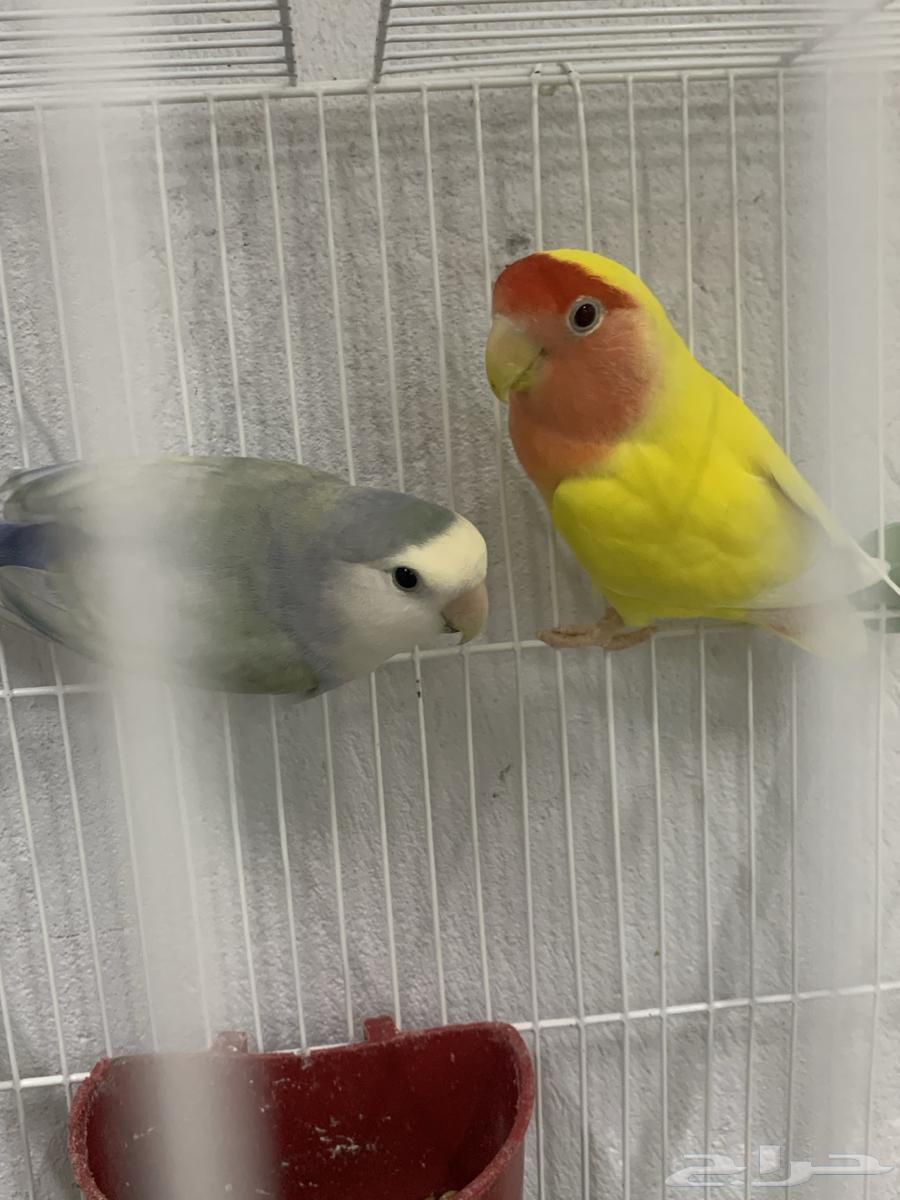 Zikr Ruz64444849406850113