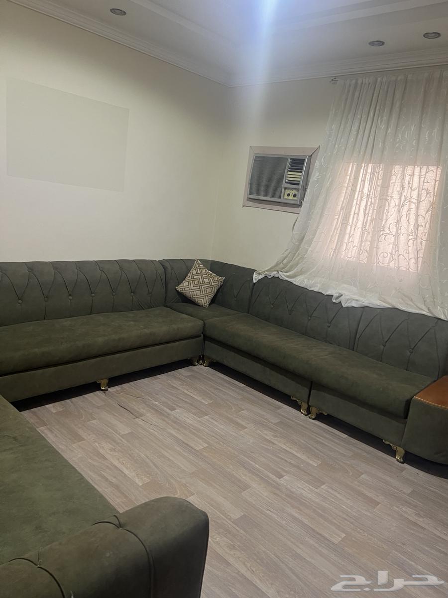 كنب زيتي نظيف للبيع 60064443695705985110